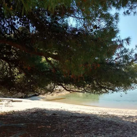 Lightful Family 80m/sea *